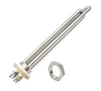 Elemento Calefactor De Inmersión 48V 3000W DC Calentador De Agua SUS304 DN25 1"BSP Calentador Eléctrico Tubular 48V Elemento Calefactor De Precalentamiento De Agua(Heater and nut)