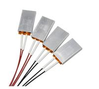 Elemento calefactor PTC 220 V/12 V 80-220 grados 1 pieza(220V220 degrees)