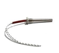 Elemento Calentador De Agua Con Cartucho De Rosca M16 De 12 V Y 24 V, 12 X 100 Mm, 50 W, 100 W, 150 W, 200 W Y 300 W, Resistencia Industrial.(1pcs,100W)