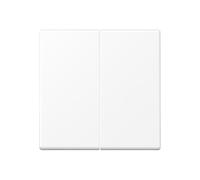 Elemento de control inteligente de la GAMA Jung A - A1702BFWWM