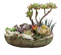 Elemento de jardín natural: el baño de pájaros de porcelana está bellamente hecho en un color verde natural, complementa los paisajes exteriores y atrae a los invitados emplumados. Este baño para