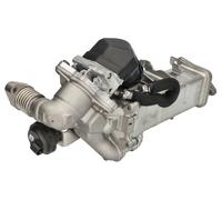 Elemento enfriador, reciclaje gases escape BORG WARNER 792001D para 3 2 2004-