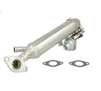 Elemento enfriador, reciclaje gases escape ENGITECH para TOUAREG 2.5 2003-