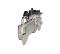 Elemento enfriador, reciclaje gases escape MAGNETI MARELLI para AMAROK 2 2010-