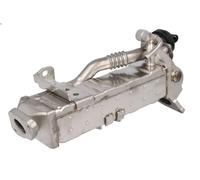 Elemento enfriador, reciclaje gases escape MEAT & DORIA 88861 para 5 2 2010-2016