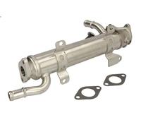 Elemento enfriador, reciclaje gases escape NISSENS 989277 para A3 (8P1) 2 2004-