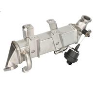 Elemento enfriador, reciclaje gases escape NISSENS 989287 para LATITUDE 2 2011-