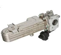 Elemento enfriador, reciclaje gases escape NISSENS 989413 para A3 (8P1) 2 2004-