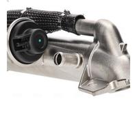 Elemento enfriador, reciclaje gases escape NISSENS 989576 para RANGER 2.2 2015-