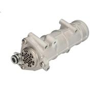 Elemento enfriador, reciclaje gases escape NRF 48378 para MASSIF Pick-up 3 2008-