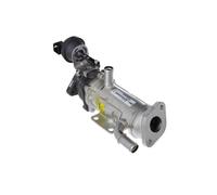 Elemento Enfriador Reciclaje Gases Escape Valeo 818791 Original Part para Nissan