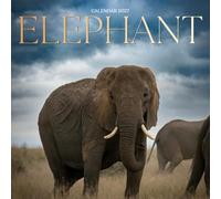 Elephant Calendar 2027: Gentle Giants and Wild Places