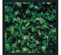 Elephant Kashimashi - Kokoro Ni Hana Wo [Vinilo]