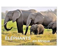 Éléphants en Afrique (Calendrier mural 2026 DIN A3 vertical), CALVENDO calendrier mensuel: Les éléphants d'Afrique sont imposants et puissants à la fois, mais parfois aussi affectueux et attentionnés.