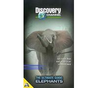 Elephants-Ultimate Guide [Reino Unido] [VHS]