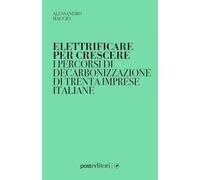 Elettrificare per crescere. I percorsi di decarbonizzazione di trenta imprese italiane