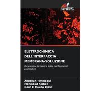 Elettrochimica Dell'interfaccia Membrana-Soluzione: Comprensione del trasporto ionico e dei fenomeni di polarizzazione