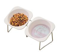 Elevated Cat, 2 Inc Bowls Raised for Cat Food, Water Dish with Tilted Double for Bowl Non-Slip Pet Feeder Small Dogs Kittens Animals, Indoor Apartment Kitchen Living Room Feeding Supplies
