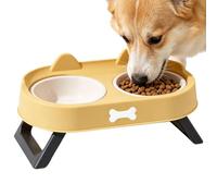 Elevated Cat Bowls Anti Vomiting Water Feeder - Dish with Stand