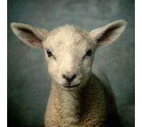 Elevation Worship - Lion