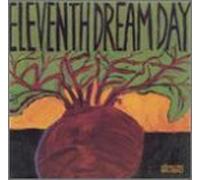 Eleventh Dream Day - Beet