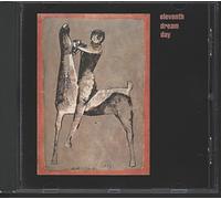 Eleventh Dream Day - Same