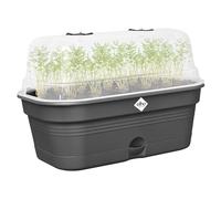 Elho Green Basics Grow Tray Allin1 32 - Jardinera por Cultívalo tú Mismo - Ø 32.0 x H 13.2 cm - Negro/Living Black
