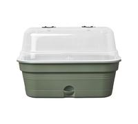 Elho Green Basics Grow Tray Allin1 32 - Jardinera por Cultívalo tú Mismo - Ø 32.0 x H 13.2 cm - Verde/Leaf Green