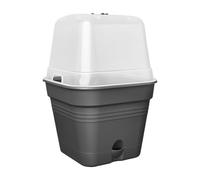 Elho Green Basics Growpot Square Allin 1 25cm - Living Black | L 24.5 x An 24.5 x A 20.7 cm | Platillo integrado