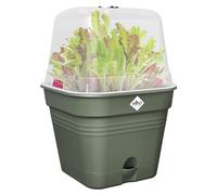 elho Macetero de Cultivo Green Basics Cuadrado - 15 cm - Verde hoja