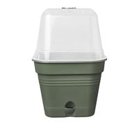 Elho Green Basics Growpot Square Allin1 20 - Growpot - Verde - Cultívalo Tú Mismo - L 19.5 x W 19.5 x H 16.5 cm