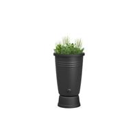 Elho Green Basics Rainbarrel Plus 110LTR - Barril de Lluvia para Cultivar el tuyo Propio - Ø 58,4 x H 80,4 cm - Negro/Living Black