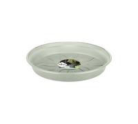 Elho Green Basics Saucer 25 - Plato por Interior y Exterior cultívalo tú mismoaccesorios - Ø 25.5 x H 3.6 cm - Verde/Stone Green