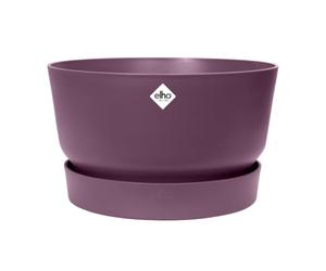Elho Greenville Bowl 33cm Maceta - Vintage Circuela | ∅ 32.5 x 19.4 cm | Platillo integrado | Macetero por Exterior | Plástico 100% reciclado