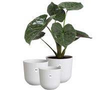 Elho Jazz Round 14,16,19 Maceta - Silky White