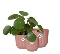 Elho Vibes Fold Round - Macetas de plástico 100% Reciclado - Macetas de Interior - Set de 3 - Ø 14, 16, 18 cm - Rosado/Delicate Pink