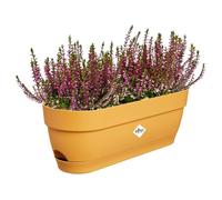 Elho Vibia Campana Trough 50cm jardineras - Honey Yellow | 18,2 x 49 x 17 cm (largo x ancho x alto). Posavasos integrado. Plástico 100% reciclado