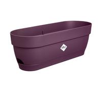 Elho Vibia Campana Trough 50cm jardineras - Morado Arce | L 18.2 x An. 49 x Al. 17 cm | Plato integrado