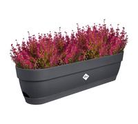 Elho Vibia Campana Trough 70cm jardineras - Anthracite | 18,2 x 69 x 17 cm (largo x ancho x alto). Posavasos integrado. Plástico 100% reciclado