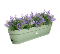 Elho Vibia Campana Trough 70cm jardineras - Pistache Green | L 18.2 x An. 69 x Al. 17 cm | Plato integrado