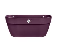 Elho Vibia Campana Wall Basket 35 - Jardinera por Balcón Exterior - Ø 35.0 x H 14.8 cm - Violeta/Morado Arce