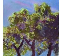 Eli Winter - The Time To Come [Vinilo]