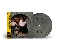 Elige Tu Propia Aventura - Vinilo Picture