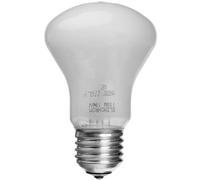 Elinchrom EL23002 - Bombillo para Lámpara de Modelado de Recambio - 100 W