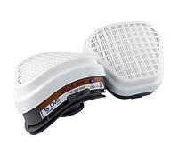 Elipse Par de filtros de repuesto A2P3 GVS SPR497, Gris/Blanco