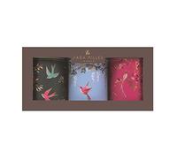 Elite tins Sara Miller Chelsea SM2992 - Juego de 3 cajas redondas de hojalata