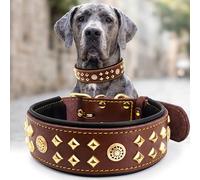 EliteGuard Collar para Perros de Piel de 5,6 cm de ancho, hecho a mano con remaches y hebilla de acero inoxidable, para uso diario en perros grandes, marrón y dorado, 36,5 - 47,5 cm