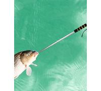 Elitix Bichero para Barco Bichero Telescópico con Anzuelo, Bichero con Aparejo de Acero Inoxidable para Pesca en El Mar, Gancho de Rescate para Áticos.(M)