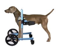 Elitix Silla Ruedas Perro Silla de Ruedas para Perros con Patas Delanteras para Apoyar a Perros Pequeños, Medianos y Grandes, Silla de Ruedas para Perros Discapacitados, Soporte para Caminar(XL)