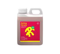 Elixir Anima-Strath 1 L